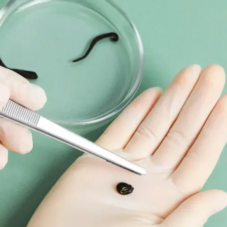 suluk__23-57699_WebImage_b